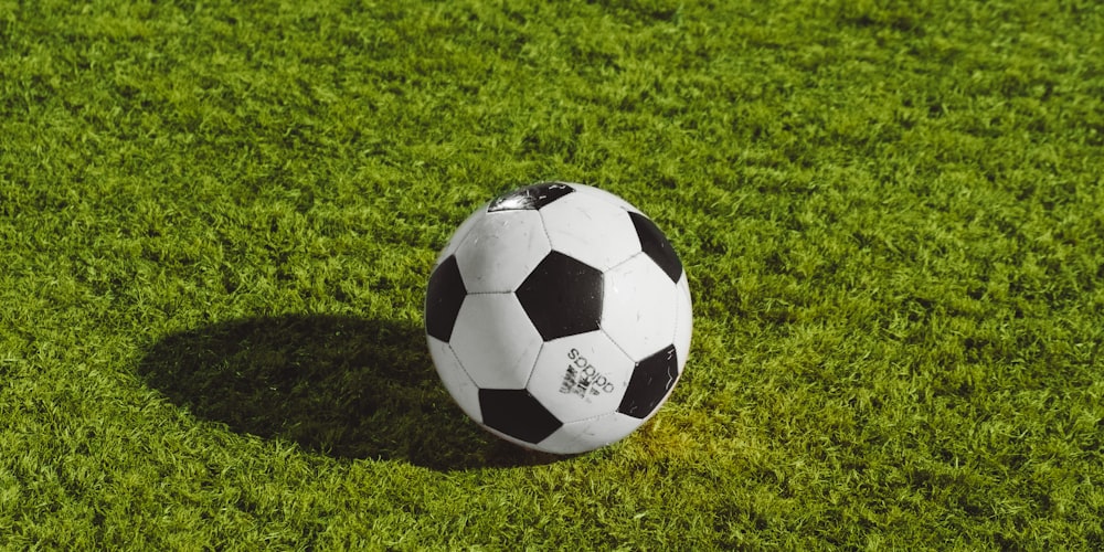国际足联FIFA官方授权证书展示